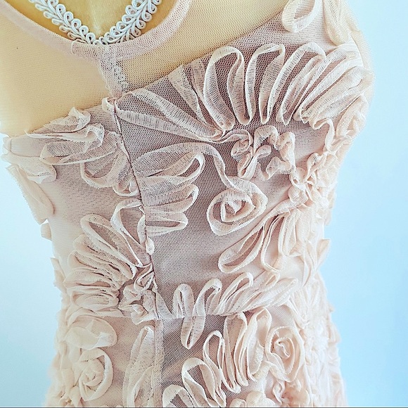 💕Fit and Flare Mesh Dress SZ S - Picture 11 of 15